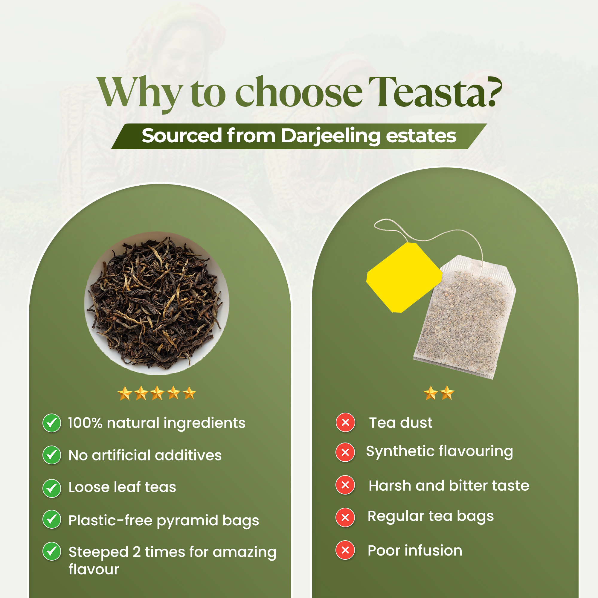 Darjeeling Oolong Tea - Image 5